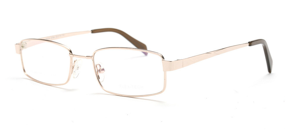 Tech 2025 flex glasses